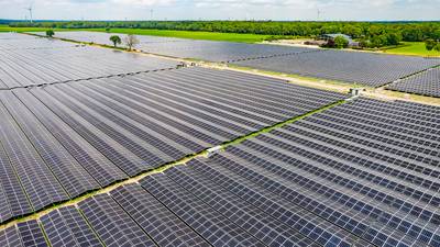 Lidl koopt in Haghorst opgewekte stroom voor de komende tien jaar: ‘We willen naar 100% eigen groene