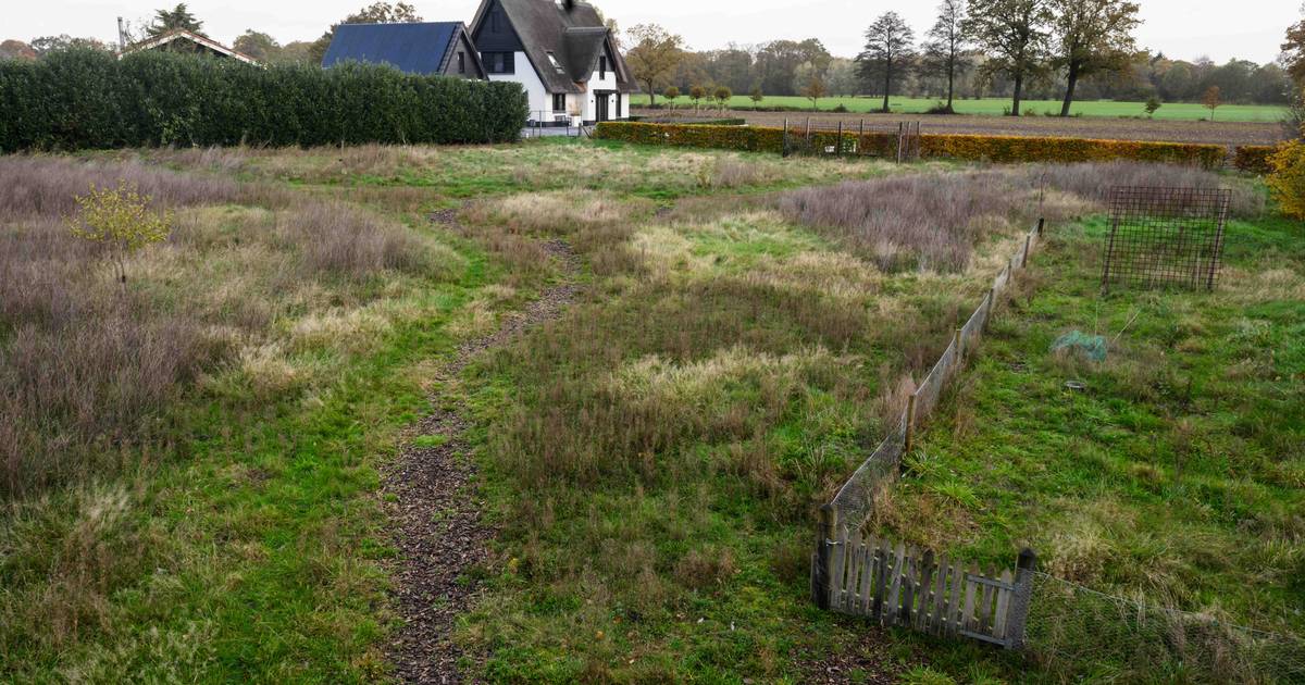 Trapveldje in Buurse maakt plaats voor handvol betaalbare koopwoningen