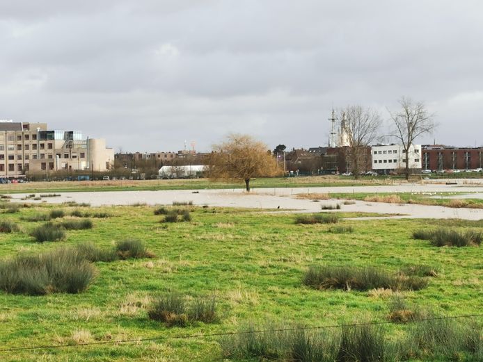 Villa Basta organiseert vakantiekamp voor de radiomakers van de toekomst:  “Later wil ik radiopresentator worden”, Halle