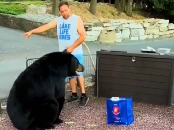 Steve (52) riskeert leven wanneer beer barbecue verstoort