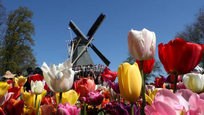 Bloemenpark Keukenhof is bomvol: ‘Kom niet meer, ook niet tijdens de paasdagen’