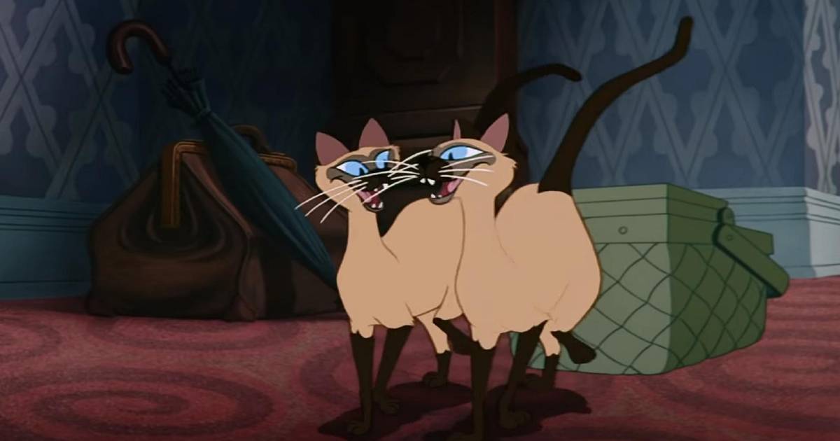 La Chanson Des Siamois Modifiee Dans Le Remake De La Belle Et Le Clochard Show 7sur7 Be