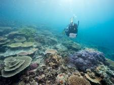 Australisch Great Barrier Reef komt nog niet op lijst van bedreigd werelderfgoed