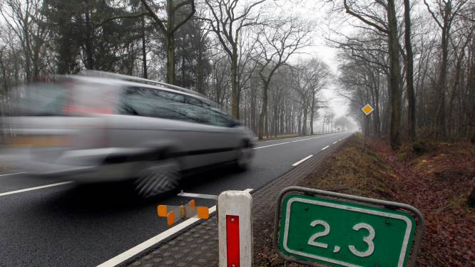 Automobilisten opgelet: dit weekend grotere kans op wildaanrijding door zomertijd