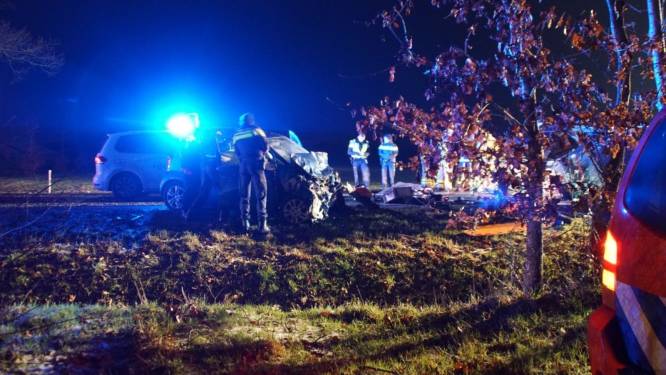 Twee Hengeloërs (24 en 27 jaar) omgekomen bij ongeluk op N315