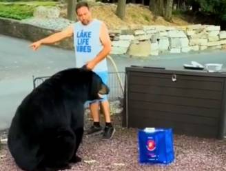 Steve (52) riskeert leven wanneer beer barbecue verstoort