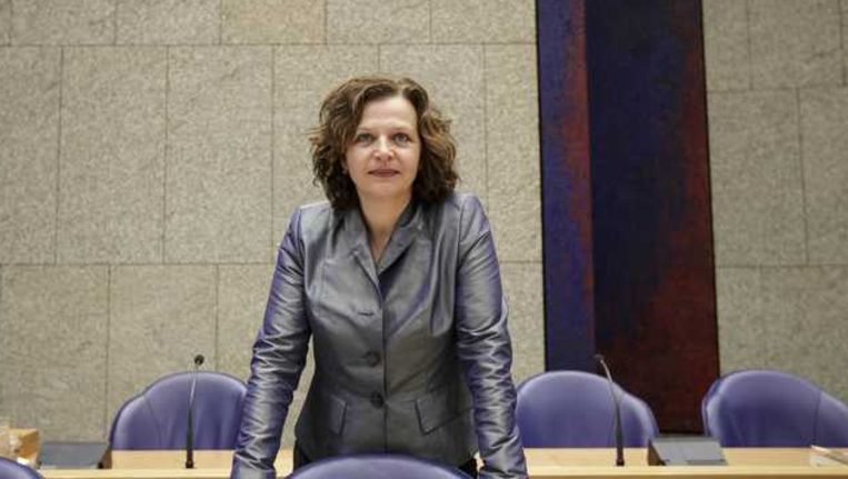 Minister Edith Schippers (Volksgezondheid) Beeld anp