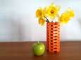 LEGOMASTERS at home: bouw je eigen bloemenvaasje