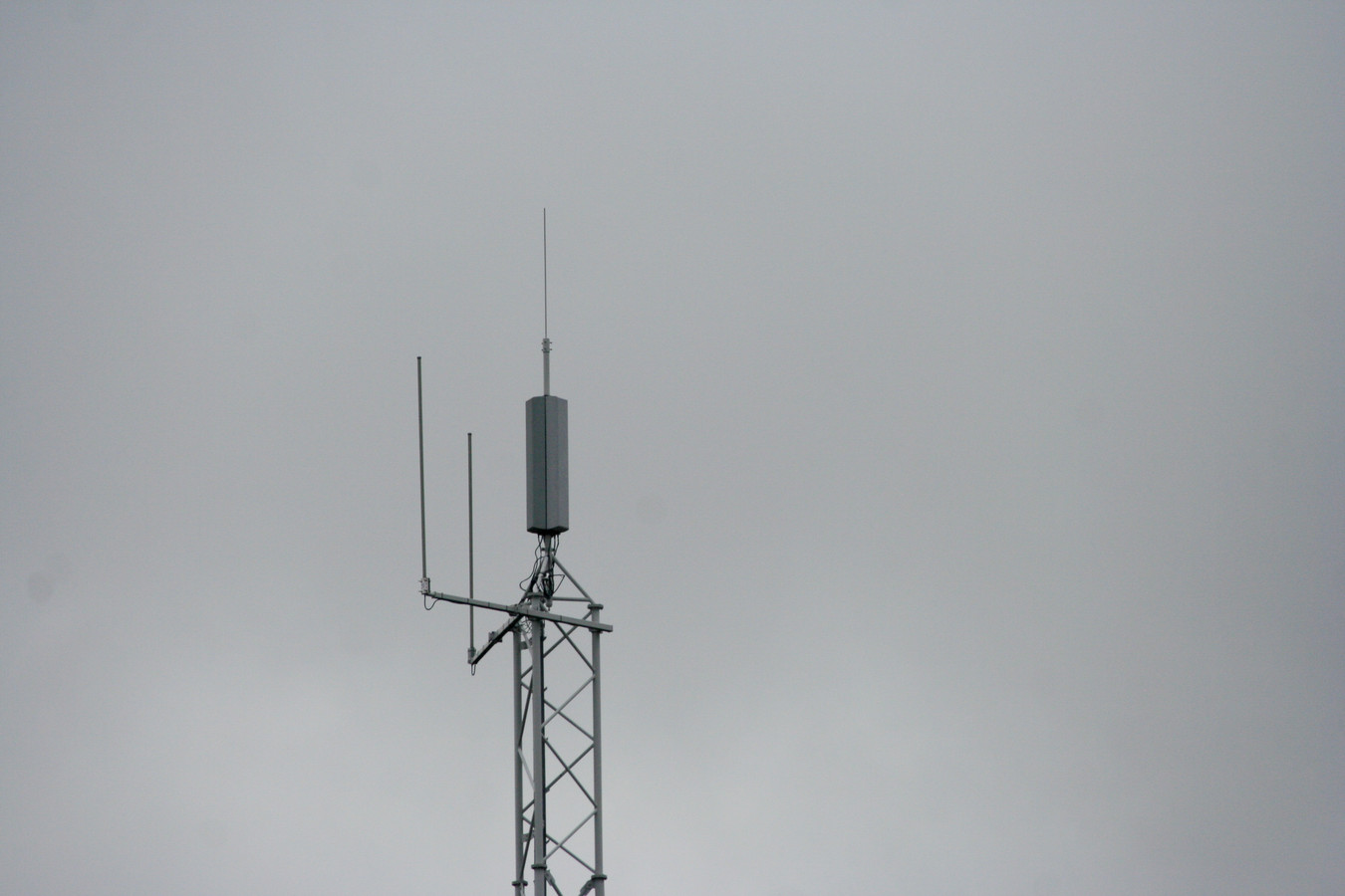 Complottheorieën zijn funest voor de gemoedsrust. Ik zie er vanaf Foto gelderlander.nl