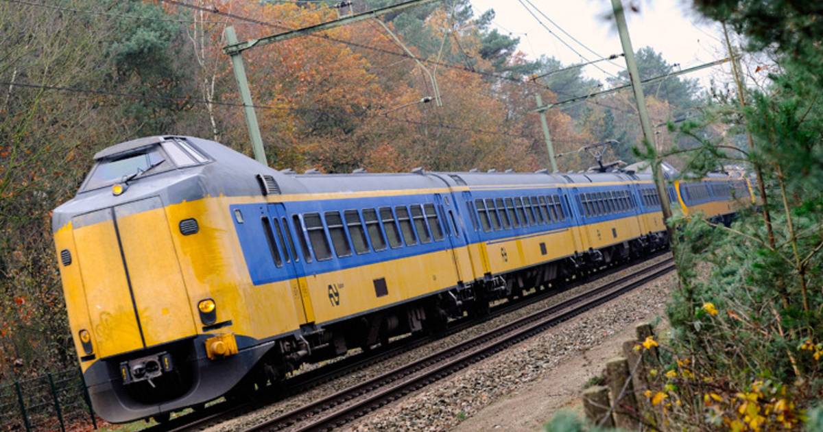 15jarig Nederlands meisje springt voor trein na pesten Buitenland hln.be