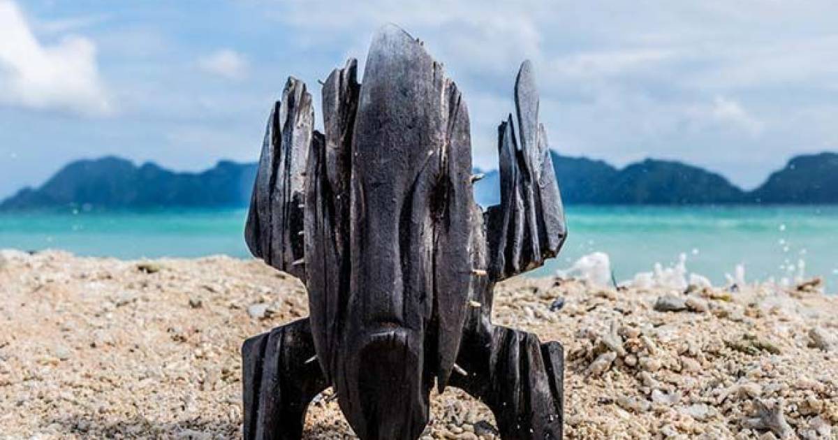 Il braccialetto maudit fait sa première victime dans “Koh-Lanta”: “Je ne l’avais pas estimé à sa juste valeur” |  Tele