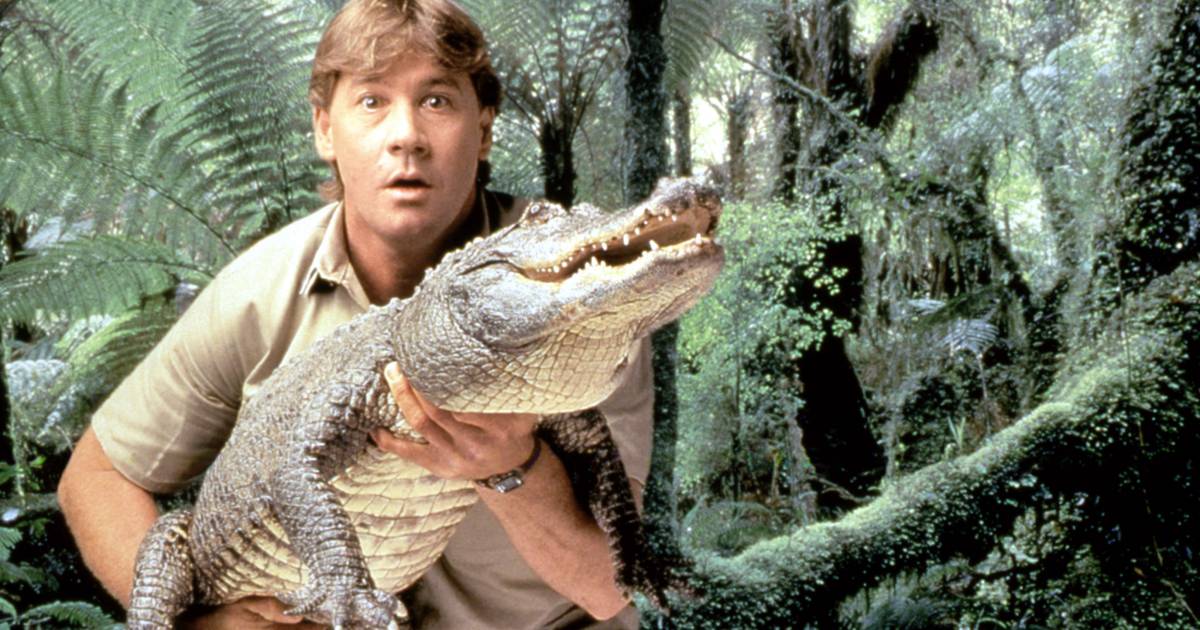 Australiani avviano petizione: l’esperto di animali Steve Irwin sulle banconote al posto di Carlo III |  Gente famosa