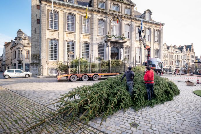 Lier Al Volop In Kerststemming Metershoge Kerstboom Geplaatst Op Grote Markt Lier Hlnbe