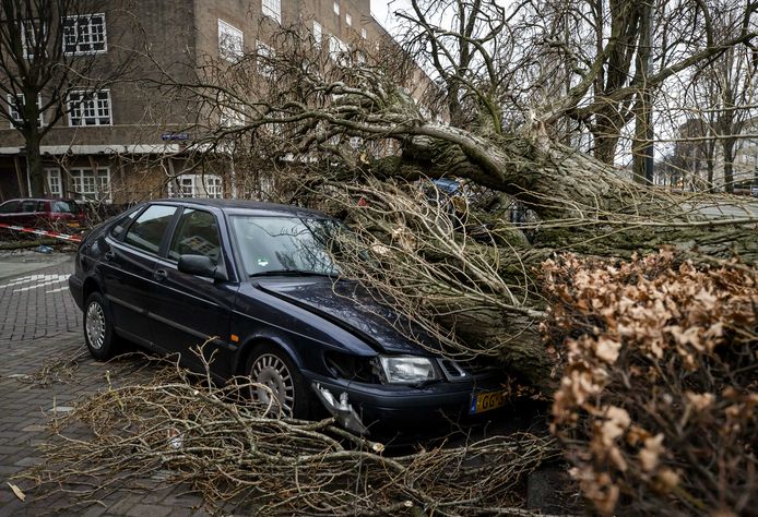 Een omgevallen boom op de Vrijheidslaan in Amsterdam tijdens storm Eunice in februari 2022.