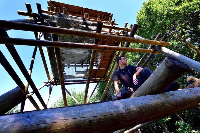 Boswachter Erik de Jonge heeft intern bij Brabants Landschap flink moeten praten om het herstel van de uitkijktoren op de Kraaijenberg mogelijk te maken. Hij is blij dat het gelukt is. ,,Want de Kraaijenberg zonder toren, dat kan niet.”