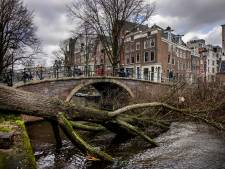 Historische stormdagen voorbij: dit is de schade en impact in Nederland