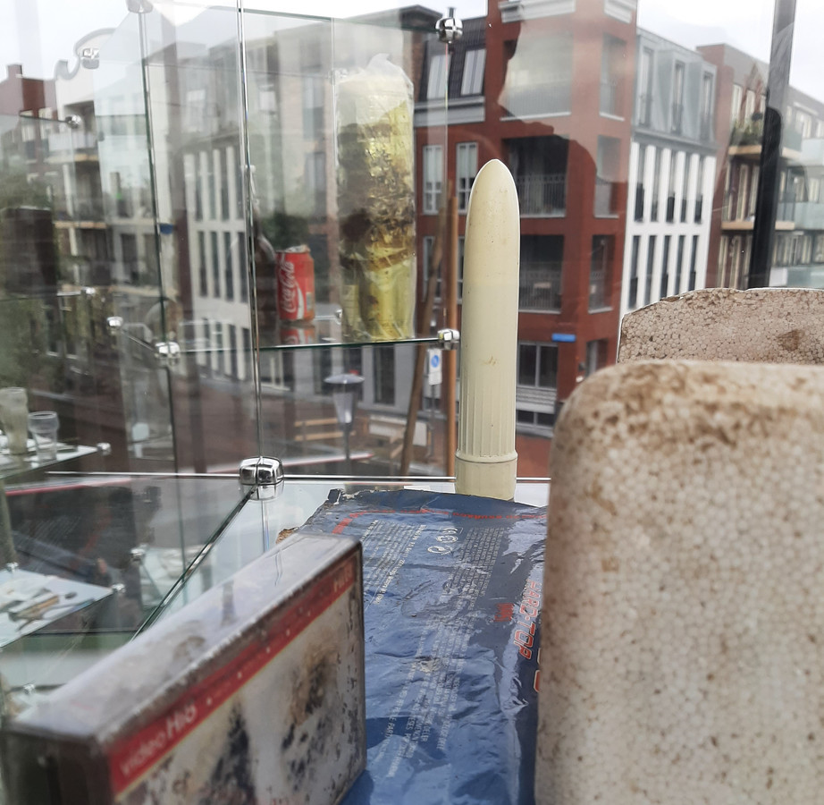 De vibrator in de vitrine van de bibliotheek Alphen is de SGP in het verkeerde keelgat geschoten.