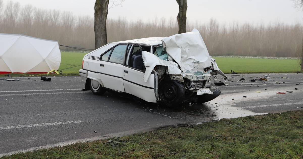 Dode door frontale botsing tussen ambulance en auto op N320.