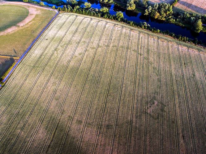 Droogte en drone onthullen nieuw 'Stonehenge' in Ierland