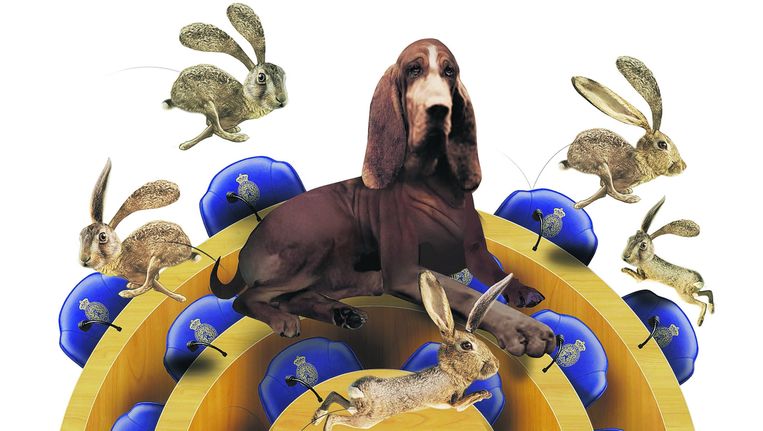 Vernieuwing is leuk, maar die komt al automatisch op gang. De uitdaging is nu juist: continuïteit en ervaring bewaren. Beeld  Illustratie Carolyn Ridsdale
