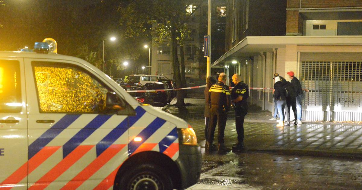 Zeven Aanhoudingen Bij Ruzie Schietpartij En Vechtpartij In Den Haag Den Haag Ad Nl