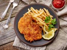 Hilariteit op Twitter: ‘Zeg Me Dat Het Schnitzel Is’ van Frank Boeijen