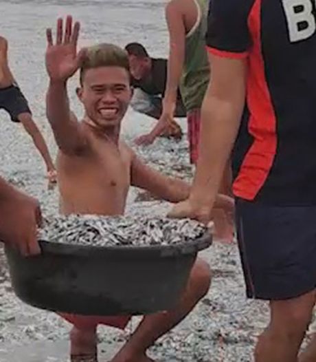 Un séisme fait apparaître des milliers de poissons sur une plage aux Philippines