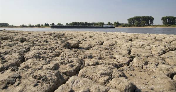 Droogte zorgt opnieuw voor problemen: actie tegen vissterfte en blauwalg - BD.nl