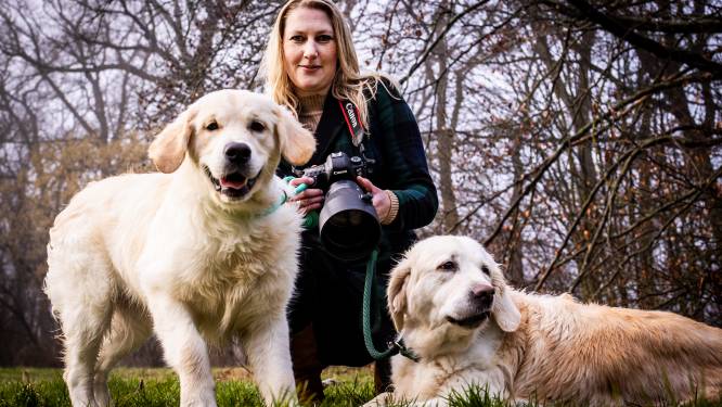 Moeilijke periode gaf Linsey (35) uit Nijverdal wilskracht, ze koos voor haar passie: hondenfotografie
