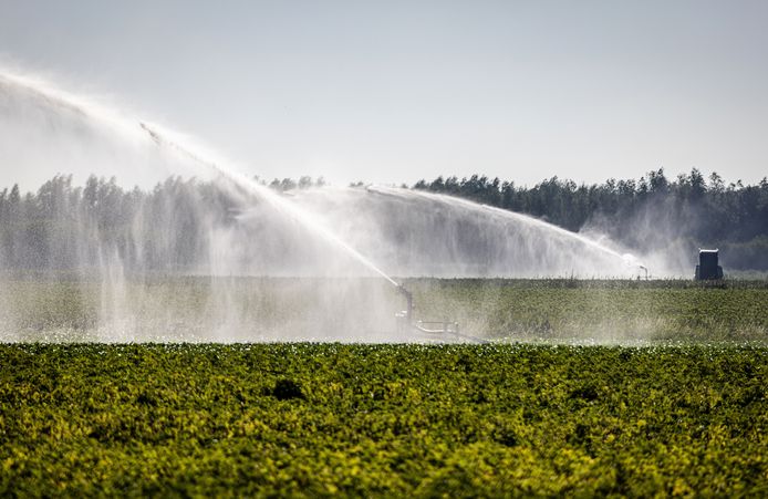 Boeren moeten flink minderen met het beregenen met grondwater, zo luidt het advies van een onafhankelijke commissie.