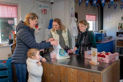 Het aspergeseizoen komt goed op gang: ‘Je moet even wachten, dat is de charme van een seizoensproduc