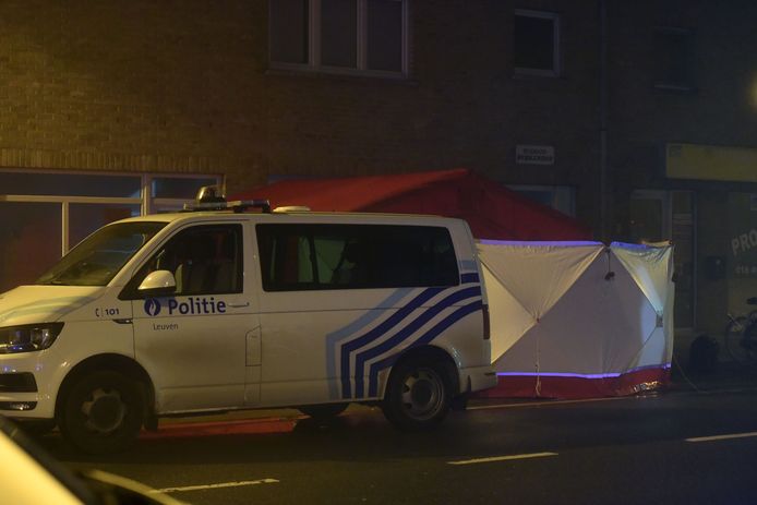 Jonge vrouw overlijdt bij appartementsbrand op de Naamsesteenweg in Heverlee
