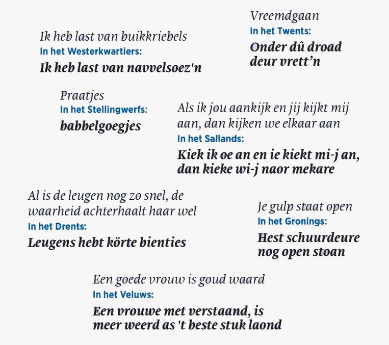 opinie Het Nedersaksisch wordt niet gediscrimineerd - Trouw