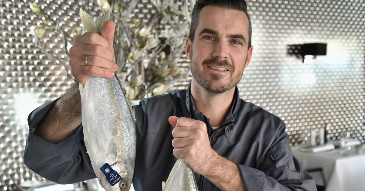 Duurzame kingfish uit Colijnsplaat al de markt op