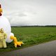 'Laten we bij wijze van proef een plaatje van een plofkip op de verpakking zetten'