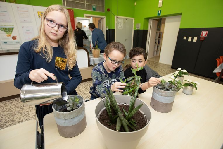 Truiense basisschool start kamerplantenhotel | Sint ...