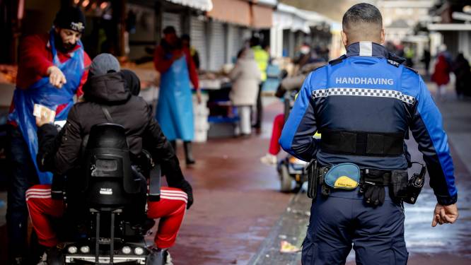 De boa van buitenaf: sneller in te zetten, goedkoper, maar mag net zoveel