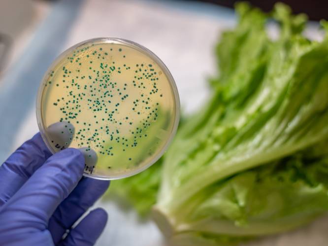 Tientallen mensen in VK opgenomen in ziekenhuis na E. coli-uitbraak