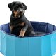 Zal-ie blij mee zijn: déze budgetwinkel verkoopt een zwembad voor je hond