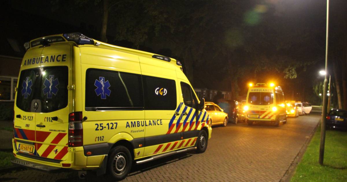 Fietser (22) uit Espel na ongeval overleden