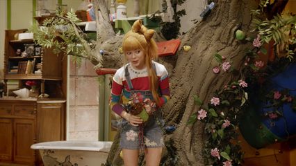 8. De dingesfloepser