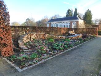 Park Vordenstein wint Green Flag Award voor derde jaar op rij: “Visitekaartje van onze groene gemeente”
