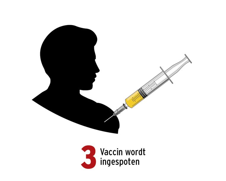 Zo werken de vaccins van Pfizer en Moderna | De Morgen