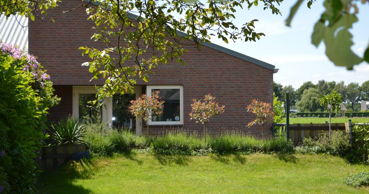 Brabantse zzp'ers tijdens corona: dierenpension At Home in Hooge Mierde heeft 1 gast, labrador Joep