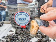 Mossels en oesters uit Oosterschelde veilig 