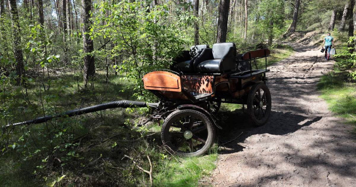 Drie gewonden bij ongeval met menwagen in Ommen.