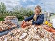 Projectleider Marijke van de Staak van Ark Natuurontwikkeling toont de oesterschelpen waarop miljoenen oesterlarfjes zijn geplaatst.