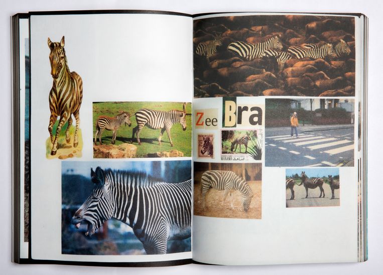 Dierenboeken voor Jaap Zeno Anna Julia Luca. Beeld 