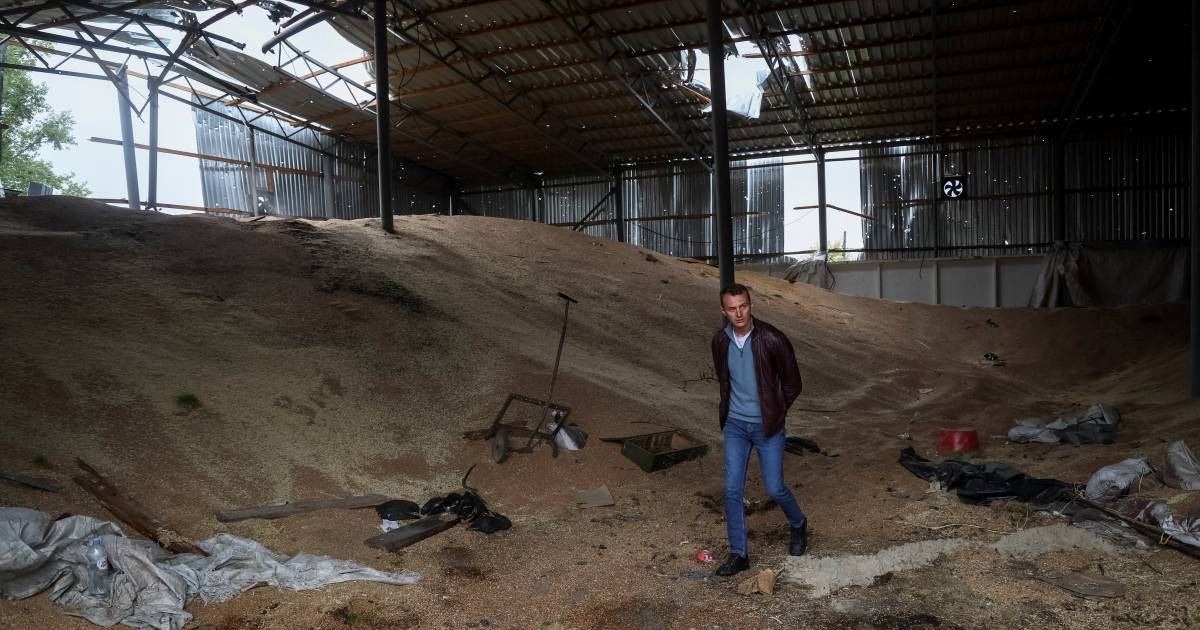 L’Ucraina ha perso circa il 15 per cento della sua capacità di stoccaggio del grano |  Guerra tra Ucraina e Russia