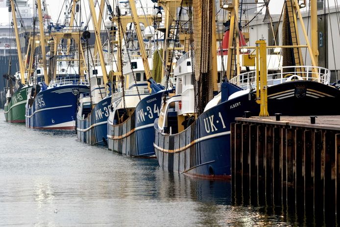 Vissersboten in de haven van IJmuiden. Foto ter illustratie.